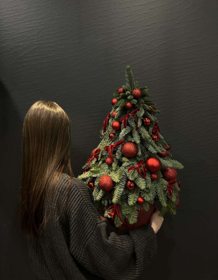 Новогодняя композиция из нобилиса "Канун рождества"