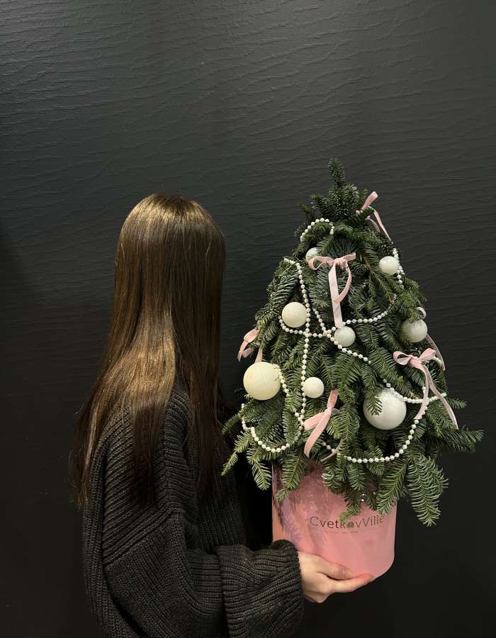 Новогодняя композиция из Нобилиса "Розовые веточки"