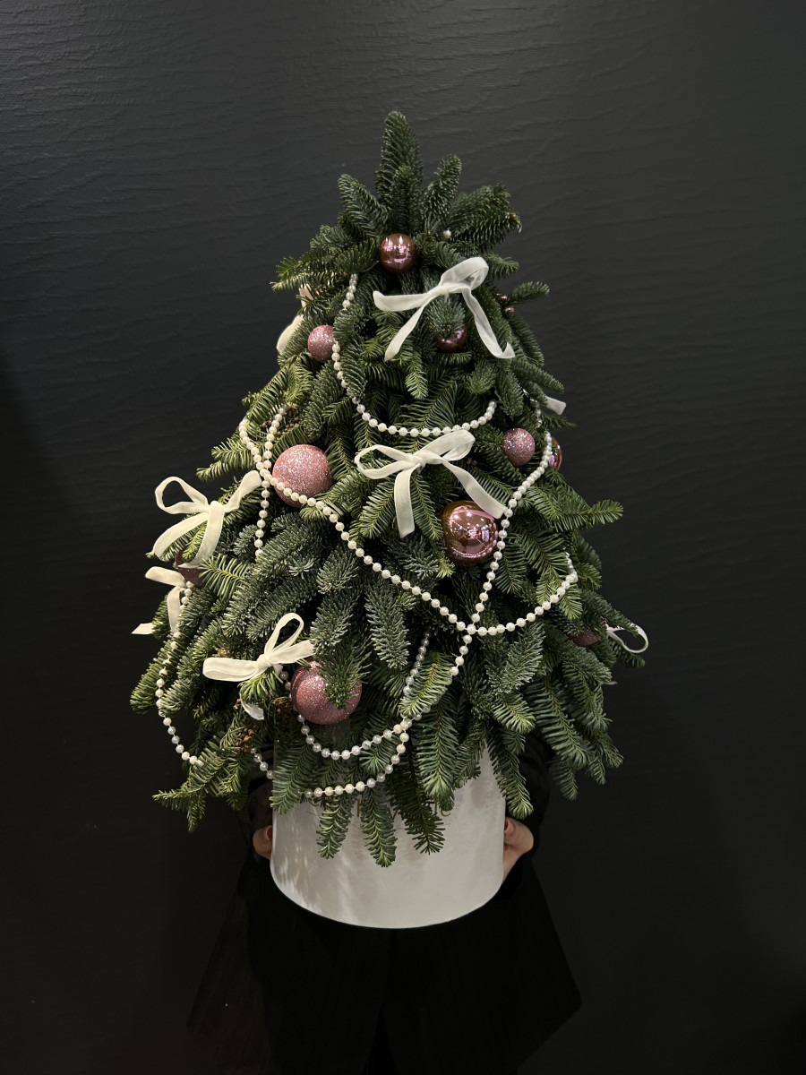 Композиция из Нобилиса  "Новогодняя сказка"