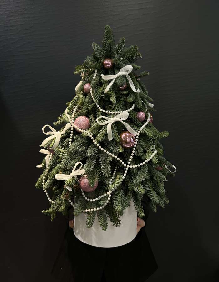 Композиция из Нобилиса  "Новогодняя сказка"