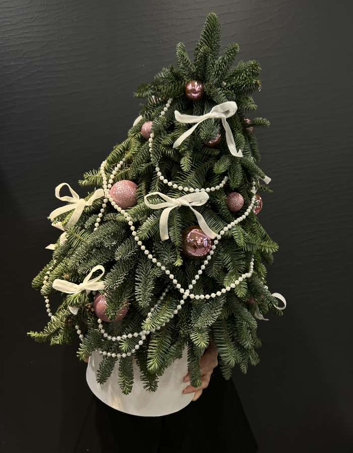 Композиция из Нобилиса  "Новогодняя сказка"