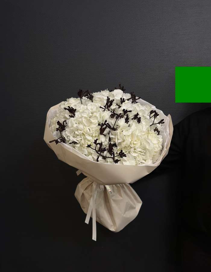 Букет из белых гортензий  и анигозантуса "Морозко"