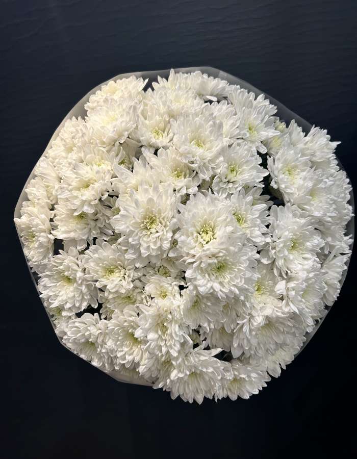 Букет из хризантем сорта Балтика(Baltica) "Белоснежная Игра"