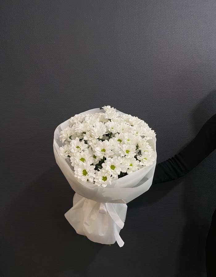 Букет из белых хризантем сорта Чик(Chic) "Новый Рассвет"