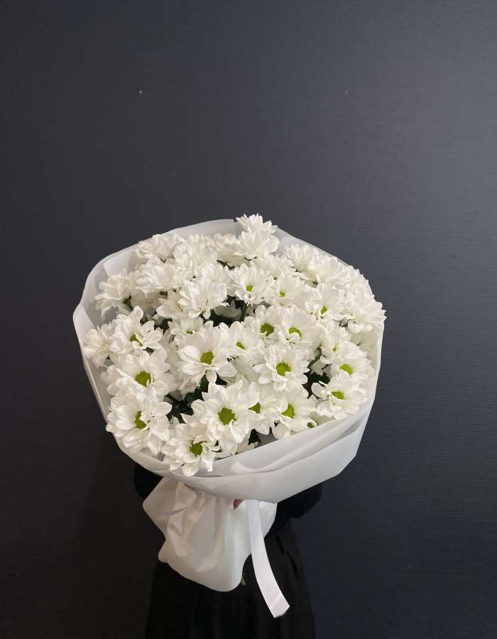 Букет из белых хризантем сорта Чик(Chic) "Новый Рассвет"