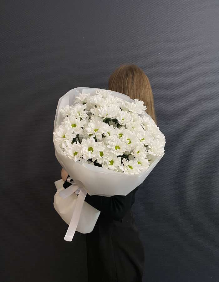 Букет из белых хризантем сорта Чик(Chic) "Новый Рассвет"