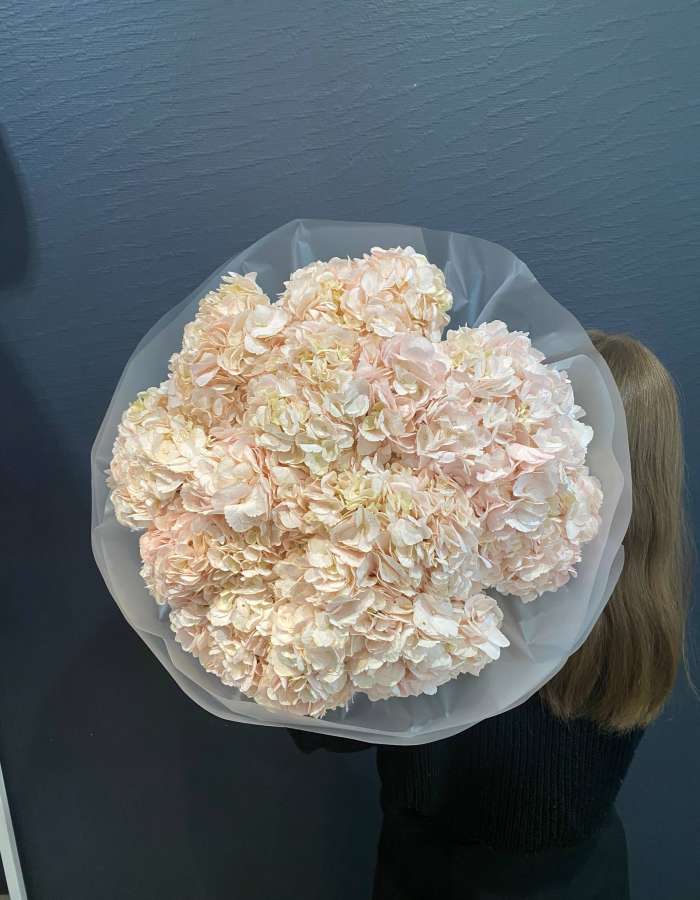 Букет из розовых гортензий "Розовая Мелодия"