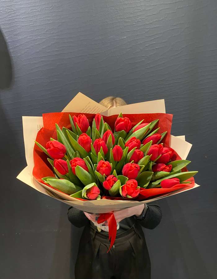 Букет из 25 красных тюльпанов сорта Рэд Стоун(Red Stone)