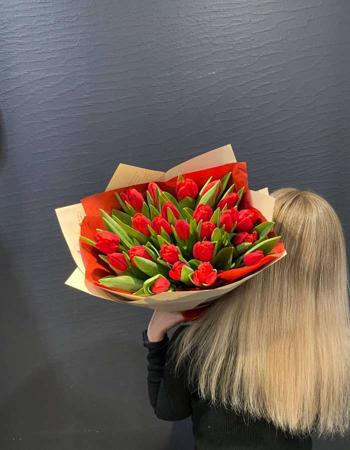Букет из 25 красных тюльпанов сорта Рэд Стоун(Red Stone)