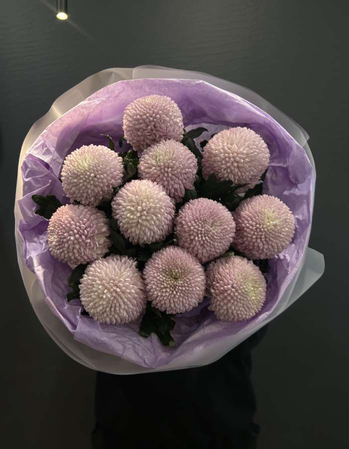 Букет из сиреневых хризантем сорта Момоко "Млечный Путь"