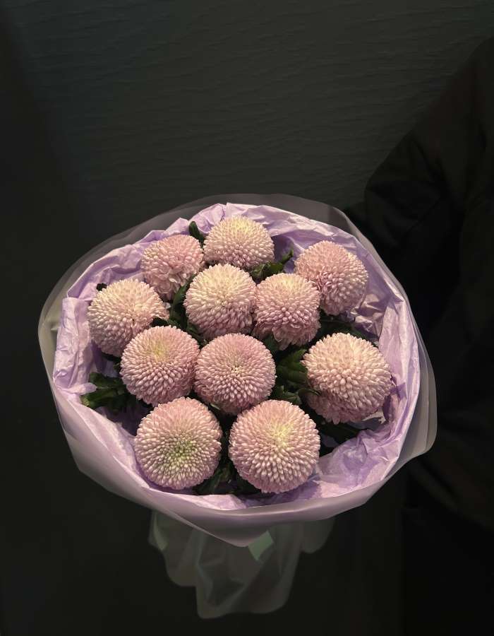 Букет из сиреневых хризантем сорта Момоко "Млечный Путь"