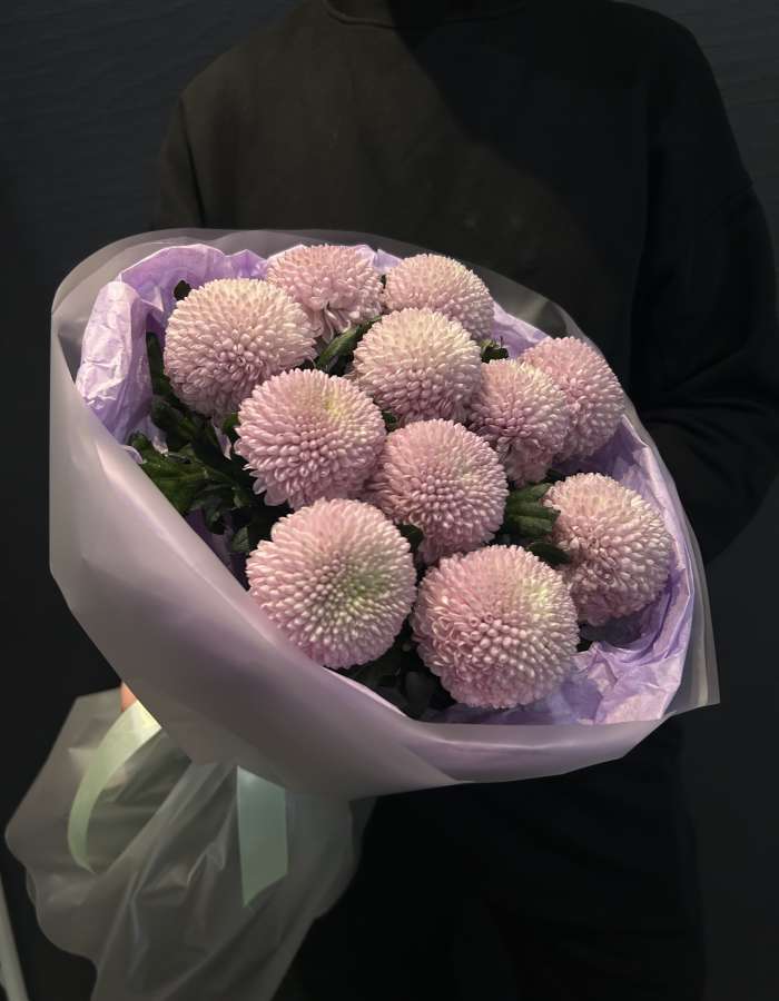 Букет из сиреневых хризантем сорта Момоко "Млечный Путь"