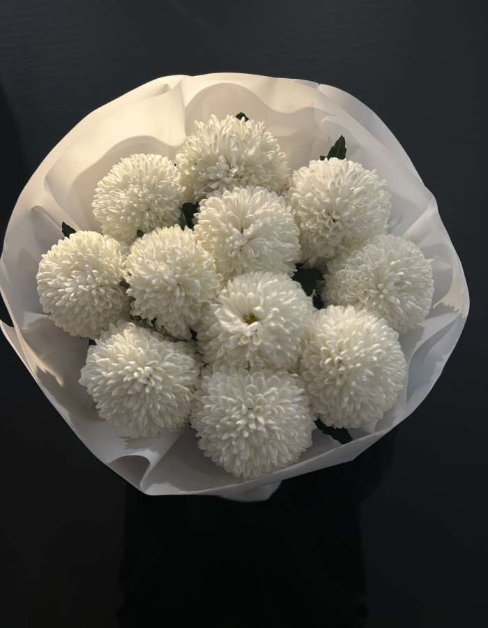 Букет из белых хризантем сорта Момоко "Нежные чувства"