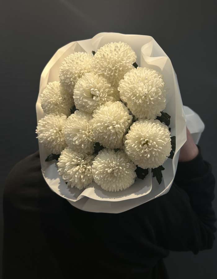 Букет из белых хризантем сорта Момоко "Нежные чувства"